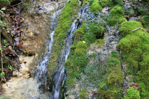 Wasser - Lebenselixier und Biotope im Karst