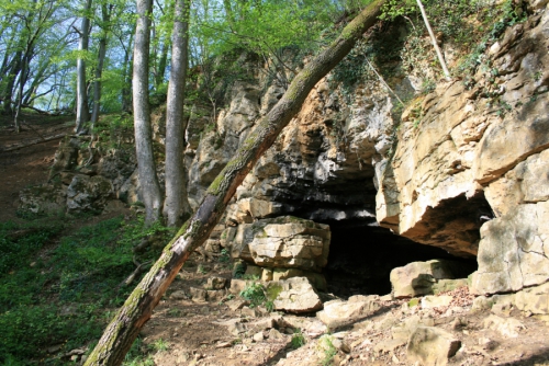 Philosophie an Naturschauplätzen - "Gedankenwandern"