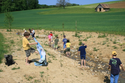 Wasser - Lebenselixier und Biotope im Karst