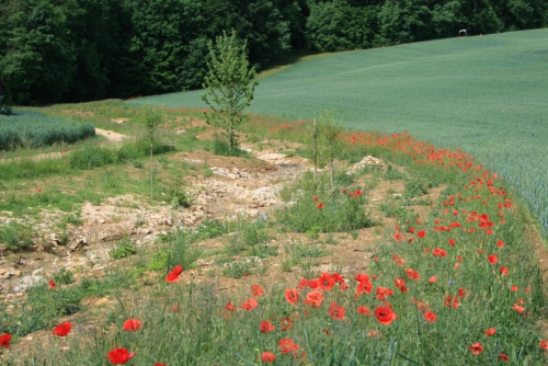 Mit Leonardo da Vincis Farben im Tafeljura auf Entdeckungsreise