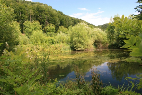 Verträumte Natur und wilde Geschichten