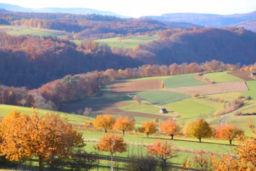 NEU: Wo Bartli den Most holt und Kirschen zum Singen animieren