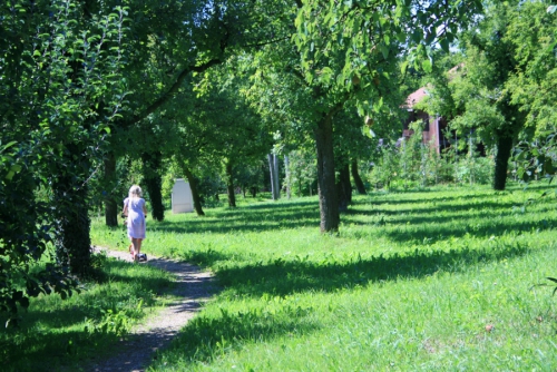 Bauernhäuser mit ihren traditionsreichen Gärten - Genussspaziergang