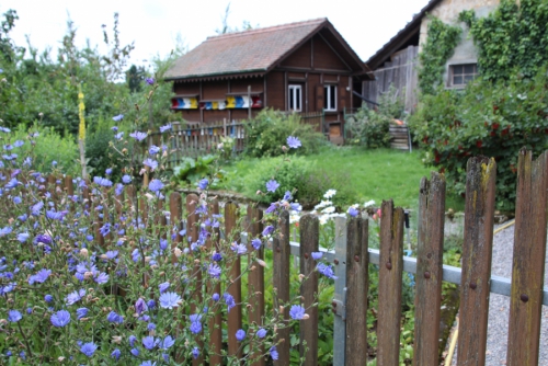 Bauernhäuser mit ihren traditionsreichen Gärten - Genussspaziergang