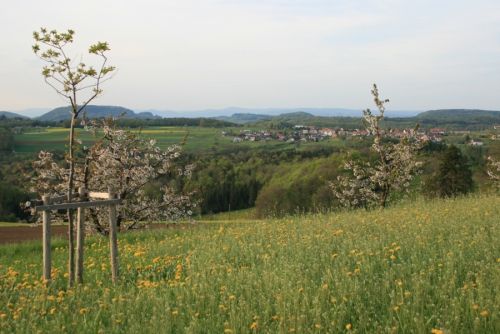 Zeitreise zu den Geheimnissen des ländlichen Juras