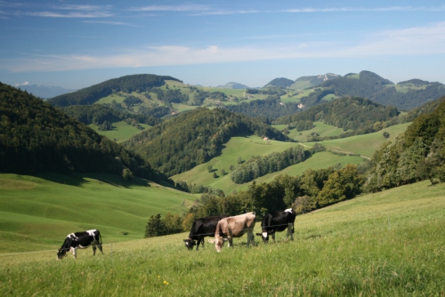 Einzigartige Wohlfühl-Orte! Seminar abseits der Hektik