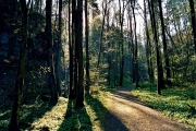 Expedition in die wilde Schlucht und Werken beim Steinhauer im Posamenter-Dorf