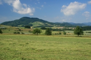 Landwirtschaft früher - heute - morgen?